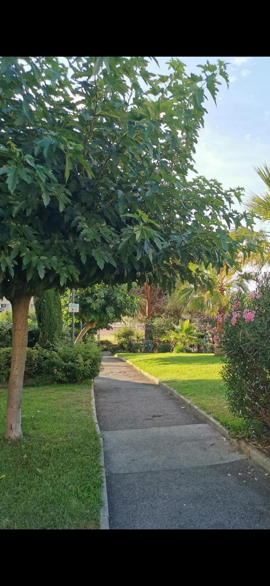 Cosy Renove Climatise Avec Piscine Proche De Toutes Commodites Appartement *